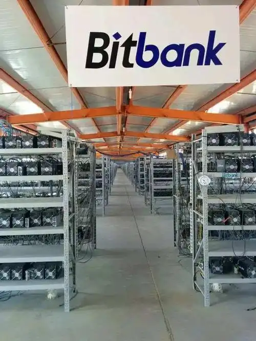 An overview of a bustling mining farm hosting various cryptocurrency rigs
