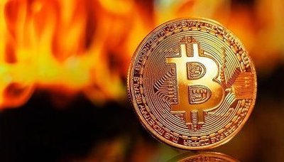 High-capacity mining farm with rows of mining machines