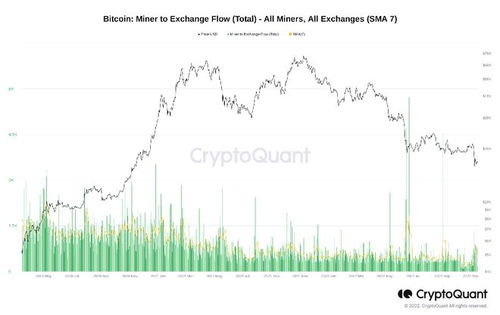 Bitcoin mining farm with top-tier power infrastructure