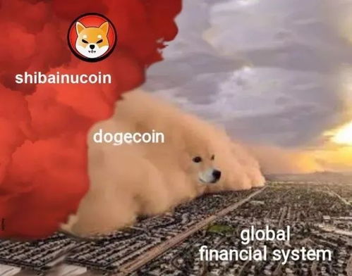 Dogecoin Mining Activity